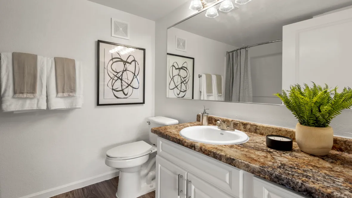 Divinely spacious bathroom with large counterspace and expansive mirror. 