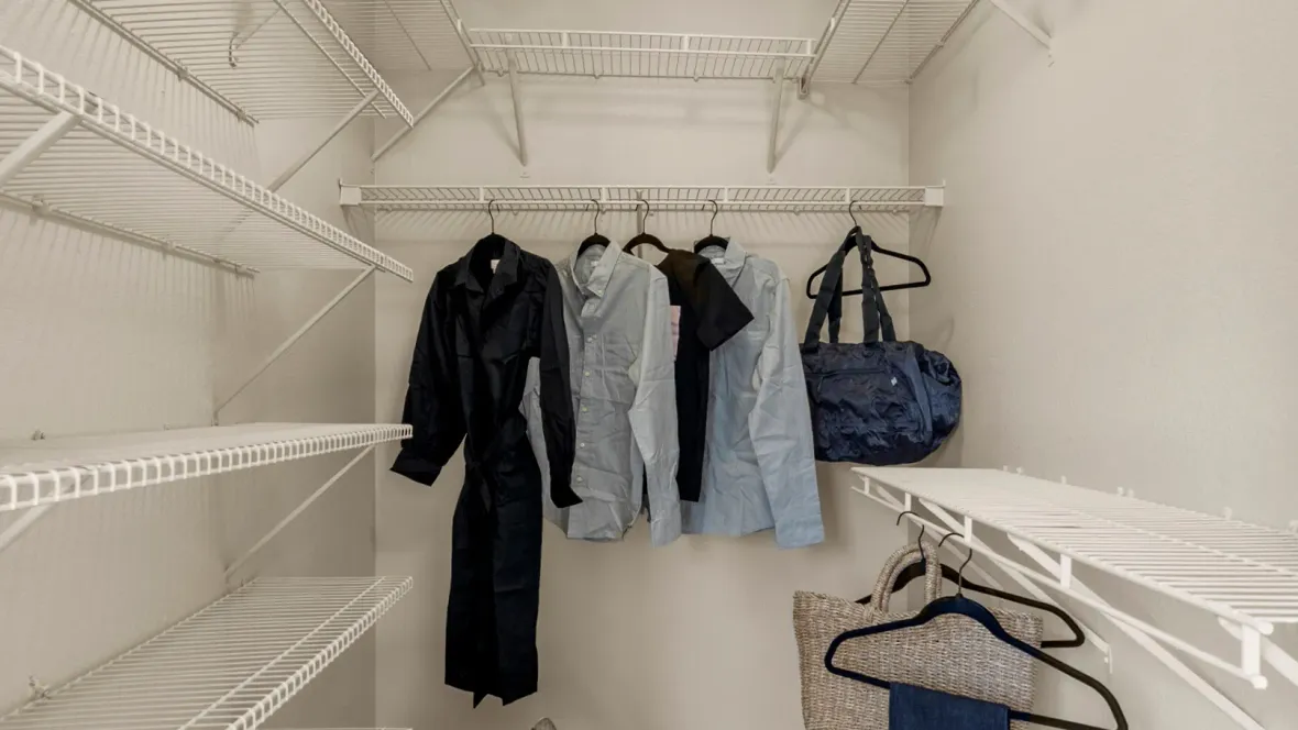 Massive walk-in closet with tall ceilings allowing for rows of built-in shelving organization. 