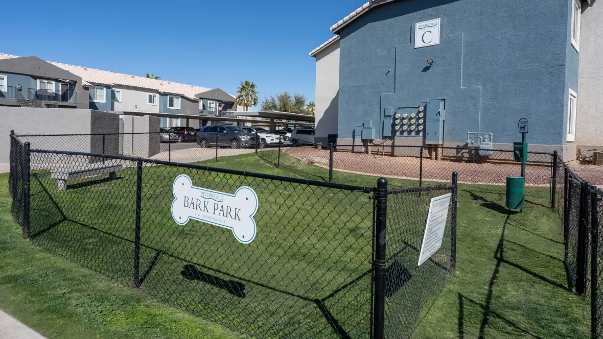 Fenced-in dog park with a grassy play area and a convenient bench for pet parents.