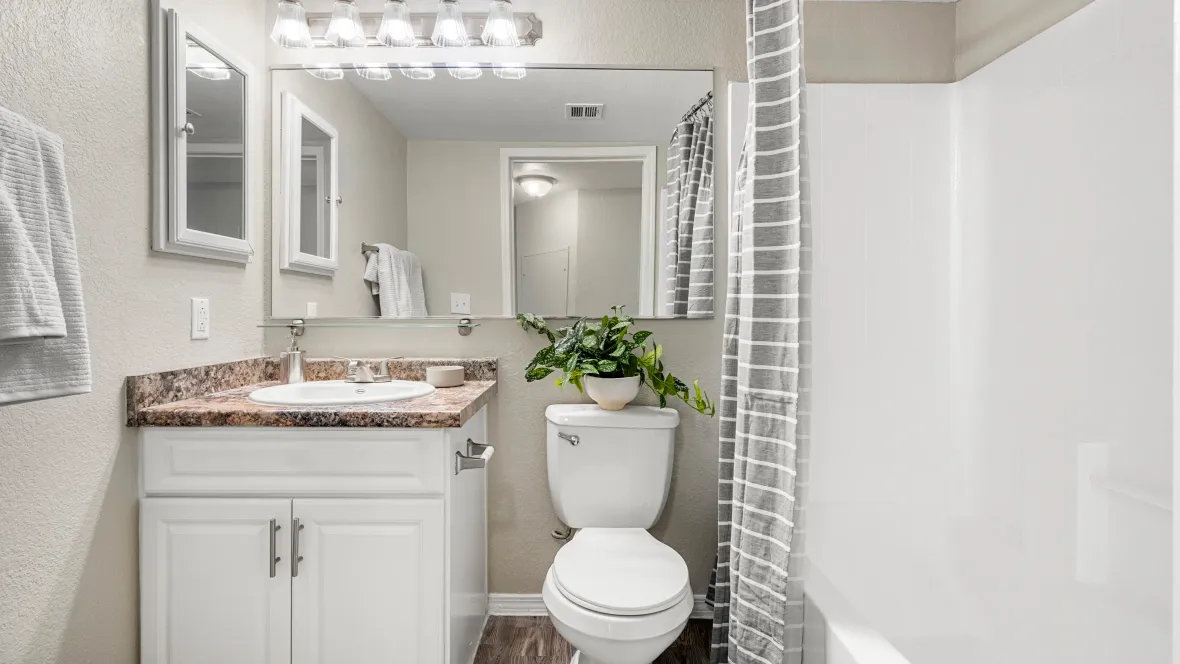 Radiant bathroom space with overhead lighting, a colossal mirror, and a mirrored medicine cabinet for the perfect morning glow up.