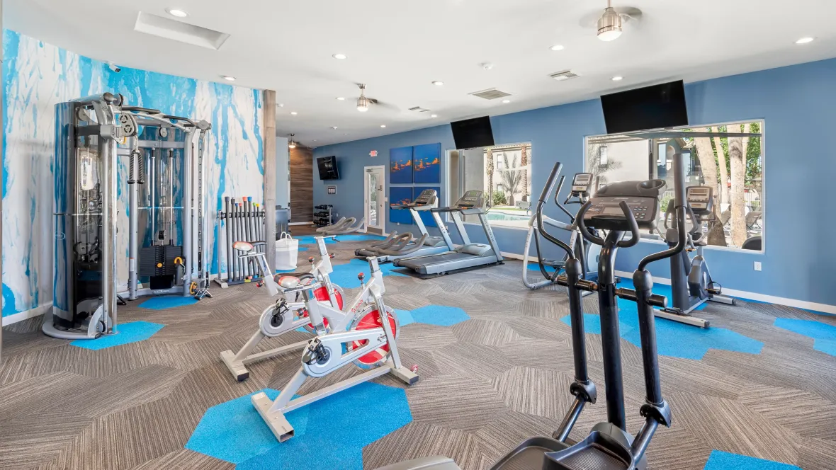 An array of equipment including spinning bikes, treadmills, and a full-body workout system.  