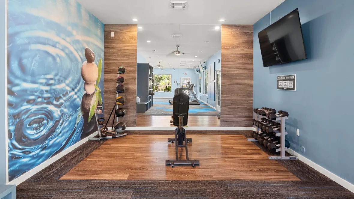 A well-stocked secluded space to lift weights with a large exercise mirror and television. 