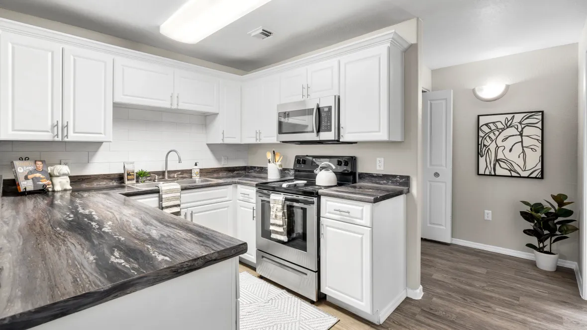 A vibrant kitchen adorned with gleaming stainless steel, bountiful counter space, and contemporary appliances.