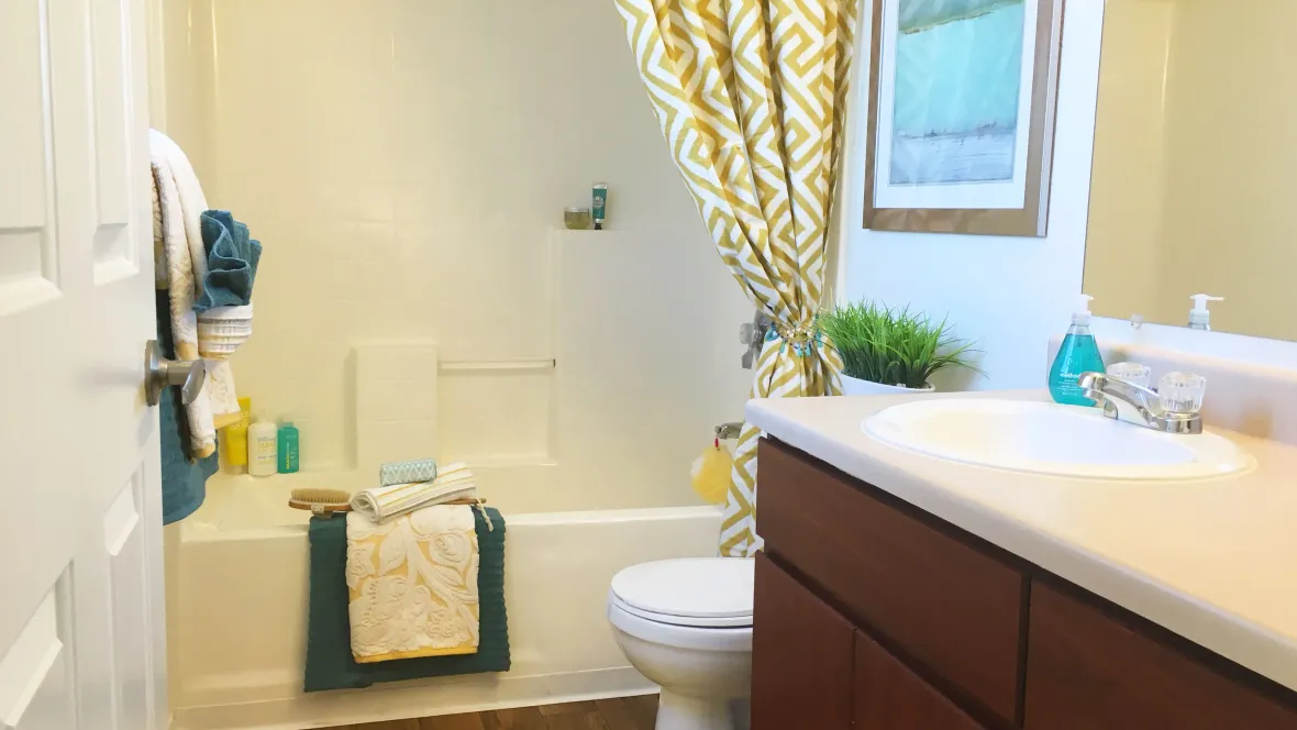 Roomy countertop with large tub in a bright, airy bathroom.