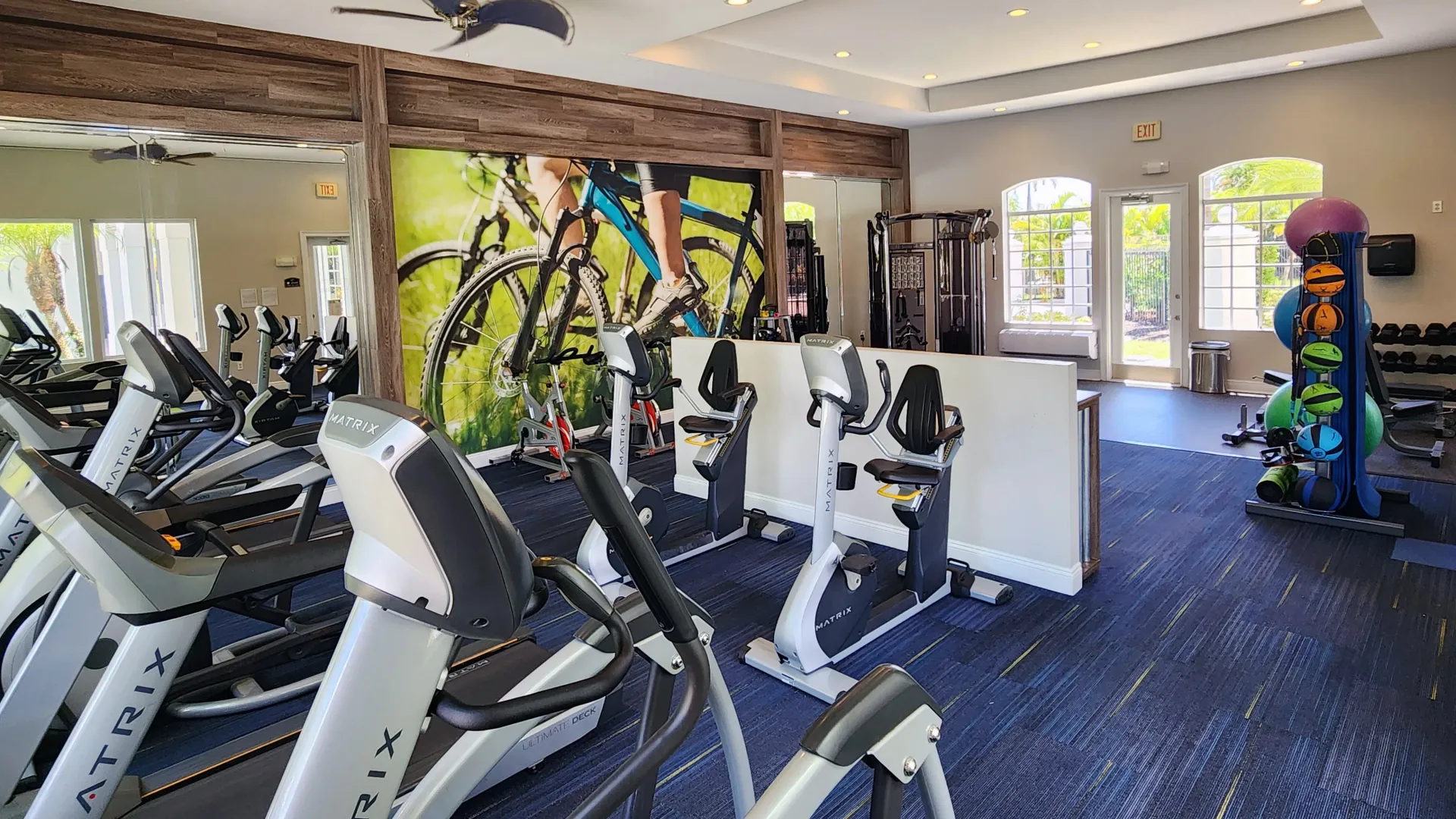 Fitness center with treadmills, exercise bikes, weights, and colorful decor.