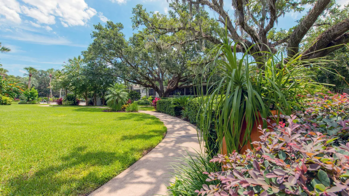 A captivating walkway surrounded by meticulously landscaped grounds and flourishing shrubbery. 
