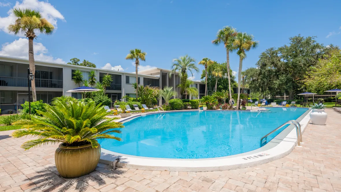 Poolside loungers lined up around the glittering pool with a backdrop of lush green tropical landscaping.
