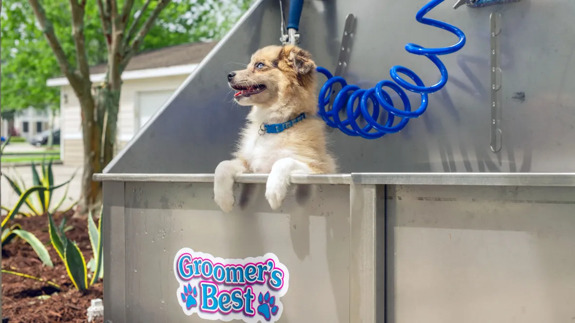 A cheerful puppy standing inside a stainless-steel dog wash station adjacent to the dog park, highlighting a convenient amenity for pet bathing.