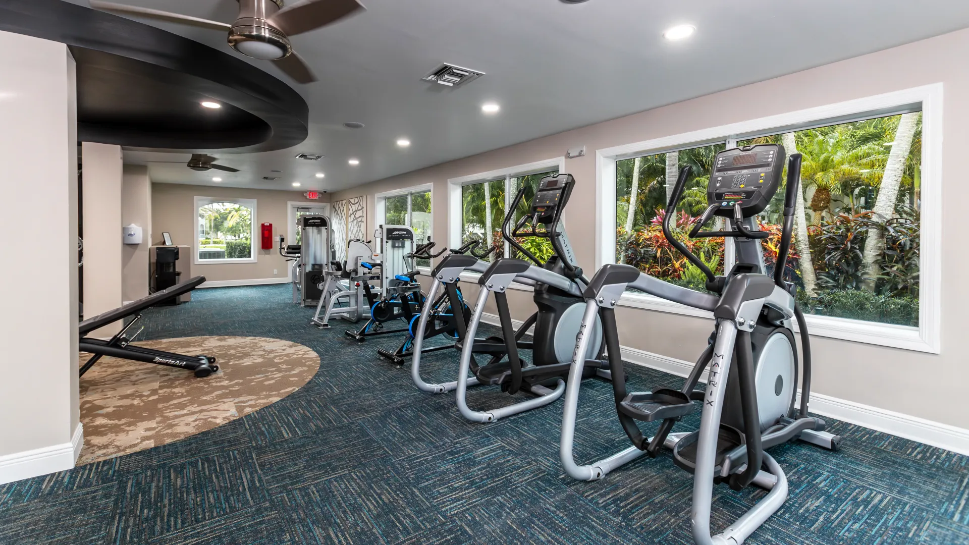 A row of ellipticals and spinning bikes lined up facing the massive wall of windows. 