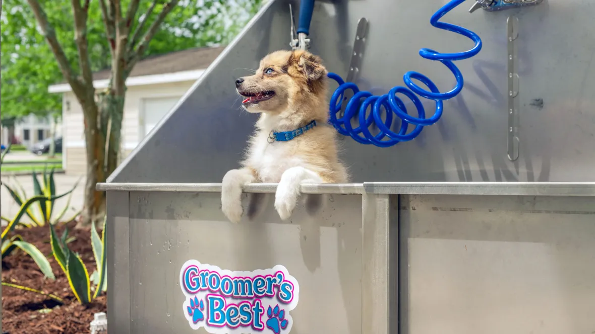 A happy puppy stands inside a stainless-steel dog wash station adjacent to the dog park, providing residents with a convenient space for pet grooming.