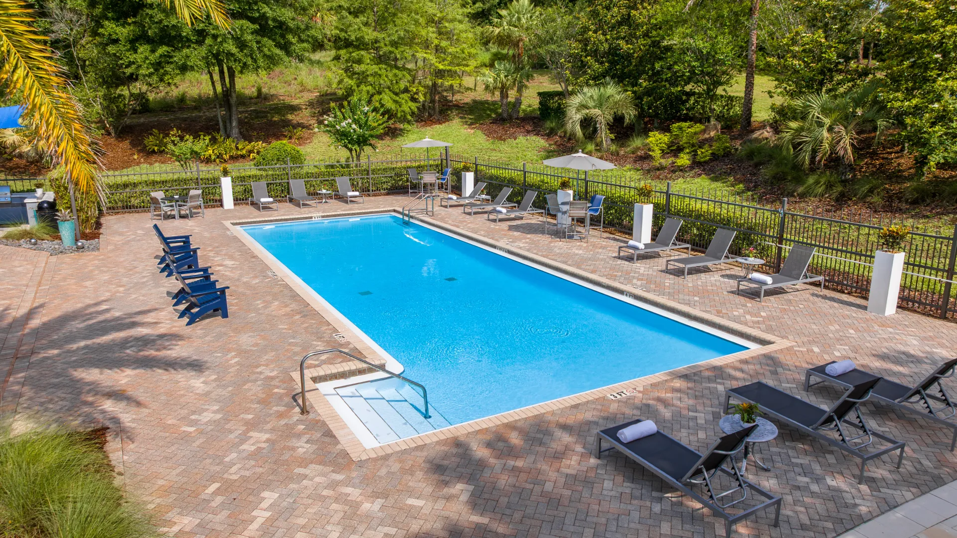 Elevated view of the Elevate 155 pool with surrounding patio seating, palm trees, and privacy fencing.