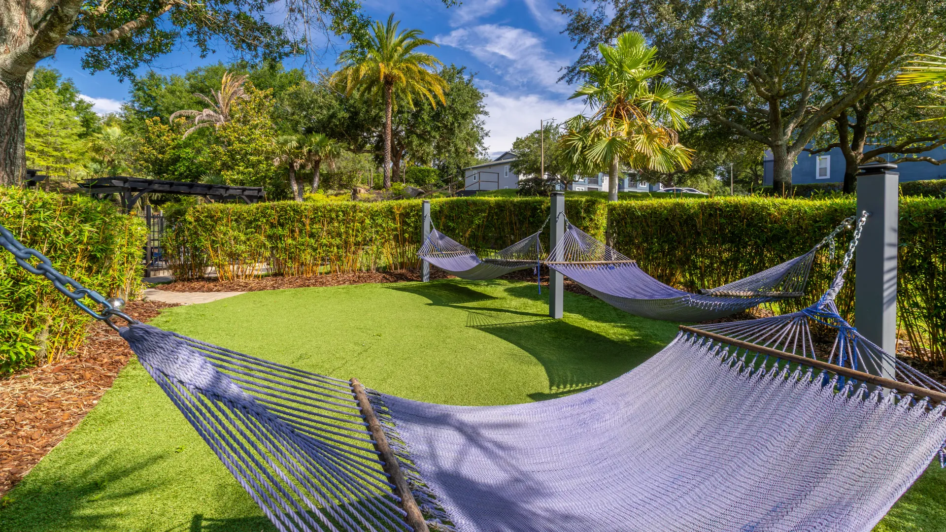 Outdoor hammock area surrounded by lush landscaping and palm trees at Elevate 155 Apartments.