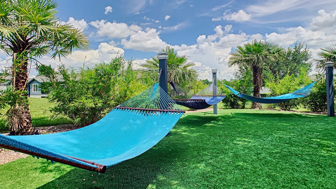 Three bright, blue hammocks suspended over a lush, green grassy area.