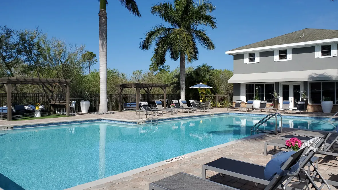 A sparkling pool embraced by lush palm trees, accompanied by inviting cabanas