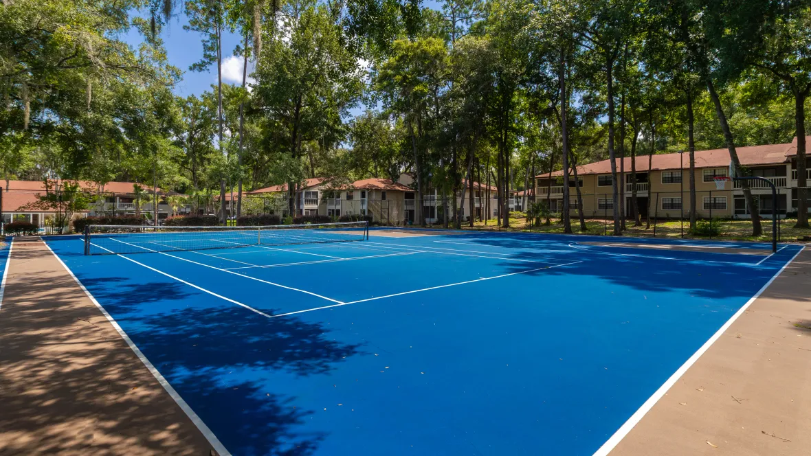 A gated tennis court nestled among towering trees, offering a shaded and delightful setting for a thrilling game.