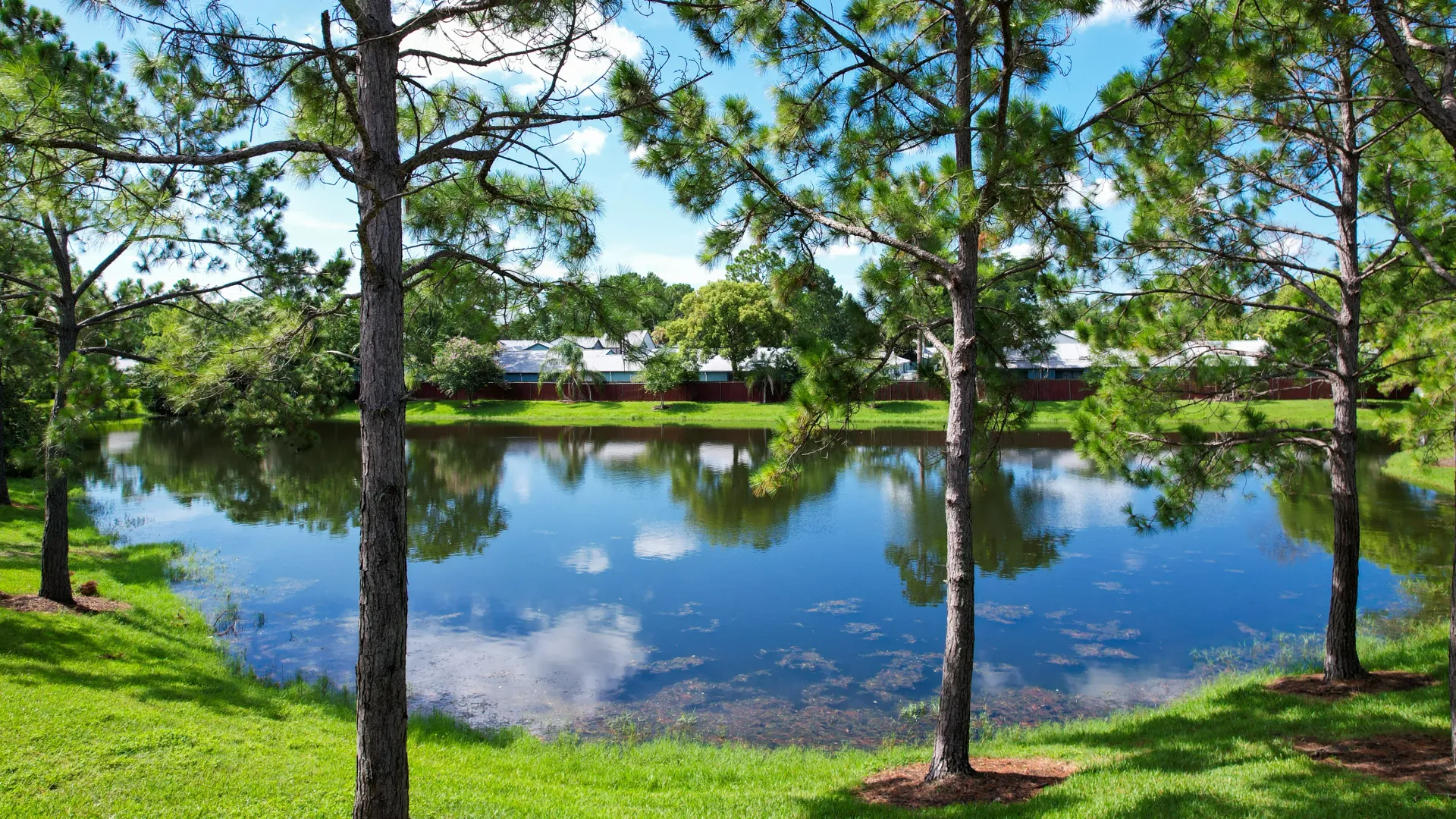 Scenic view of a pond surrounded by trees and greenery reflecting the sky and nearby buildings in the water.