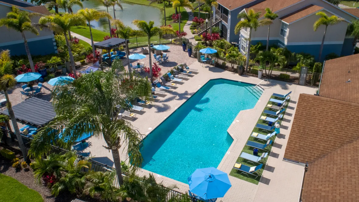 A vibrant aerial view of a sprawling paved sundeck surrounded by tall, lush palm trees with a sparkling pool and rows of sun loungers lining both sides of the pool.  