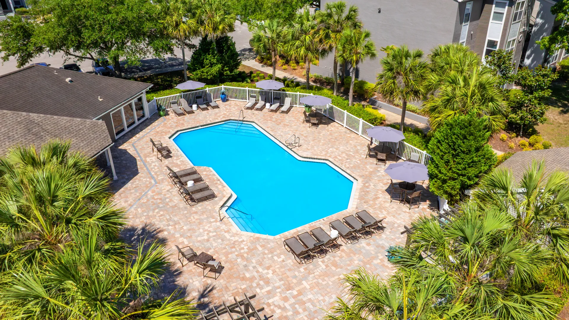 Aerial view of the swimming pool at The Enclave at Huntington Woods featuring lounge chairs, umbrella-covered tables, and surrounding palm trees.