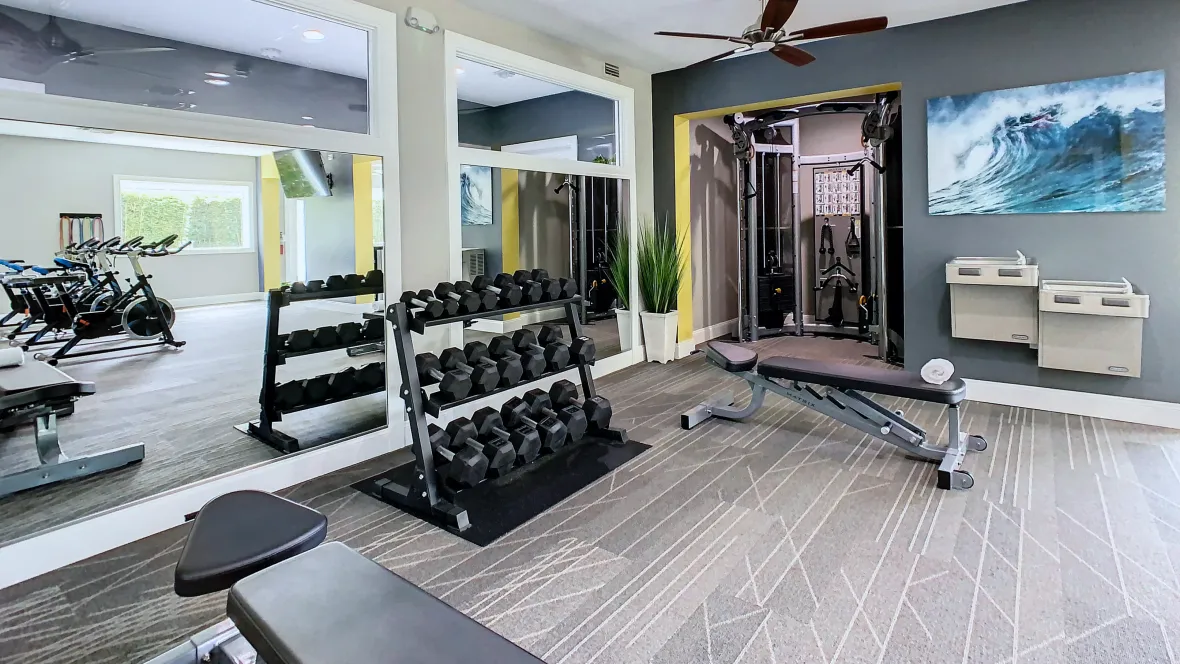 The free weights section, offering a comprehensive selection of weights and multiple benches, a place where you can build strength and resilience.