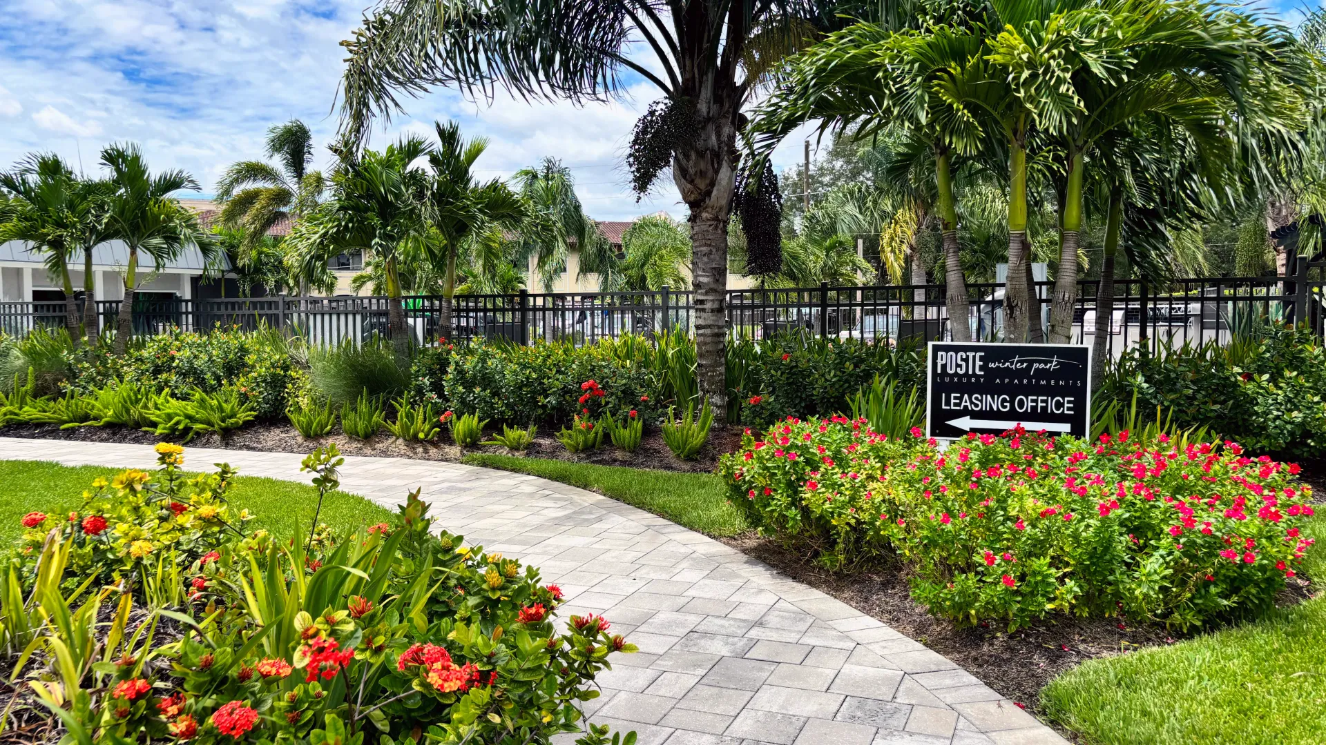 A paved pathway winding past a shimmering pool, flanked by tropical palm trees. A sign directs you to the leasing office, your gateway to a new home.