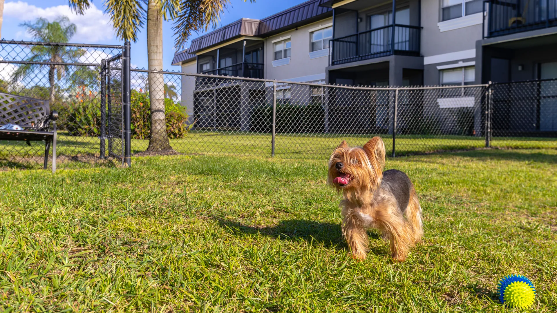 Off-leash dog park featuring a fenced-in area with green grass and a bench, providing a safe space for pets to run and play freely.