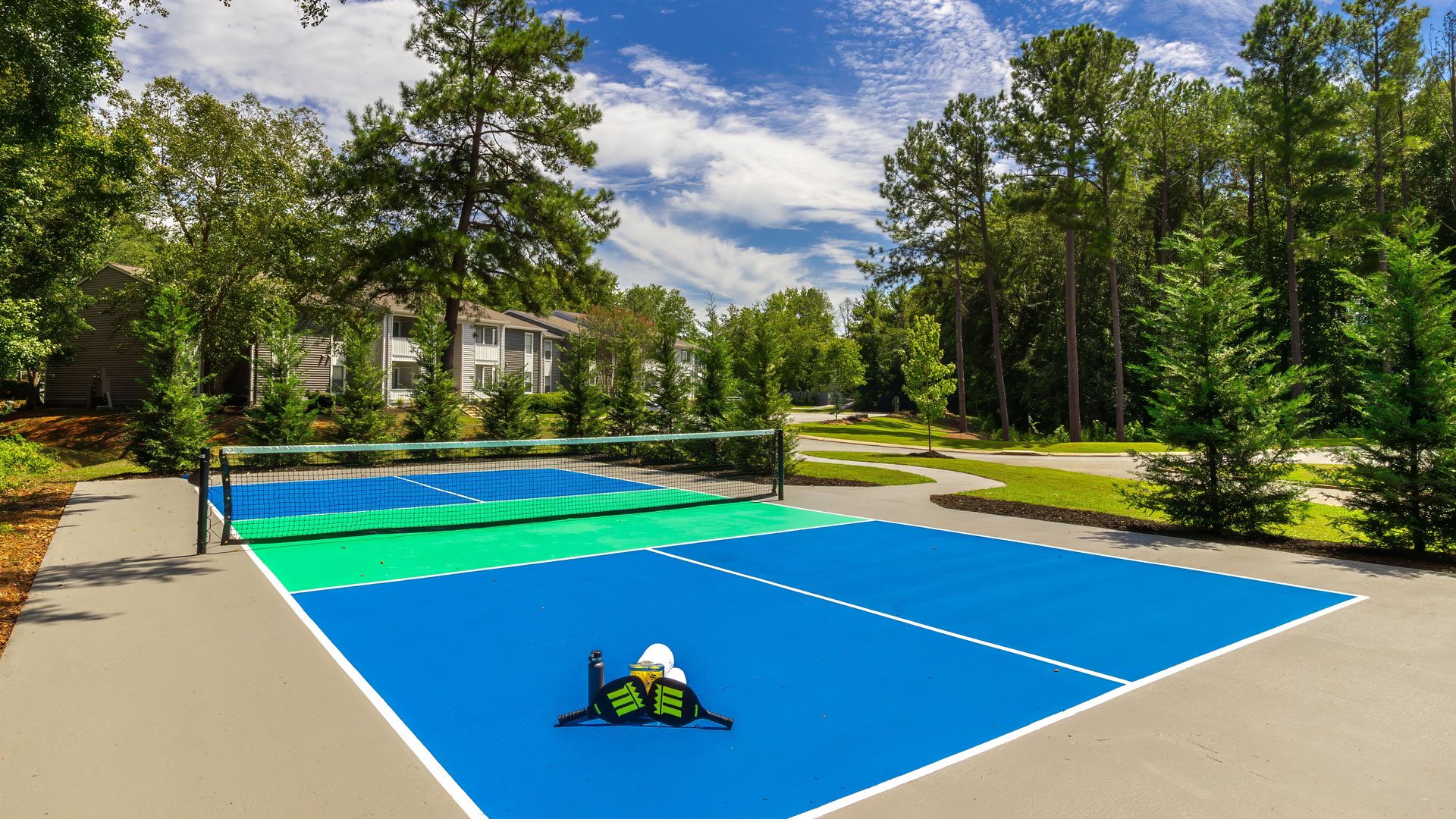 A freshly painted pickleball court stagged with paddles and balls.