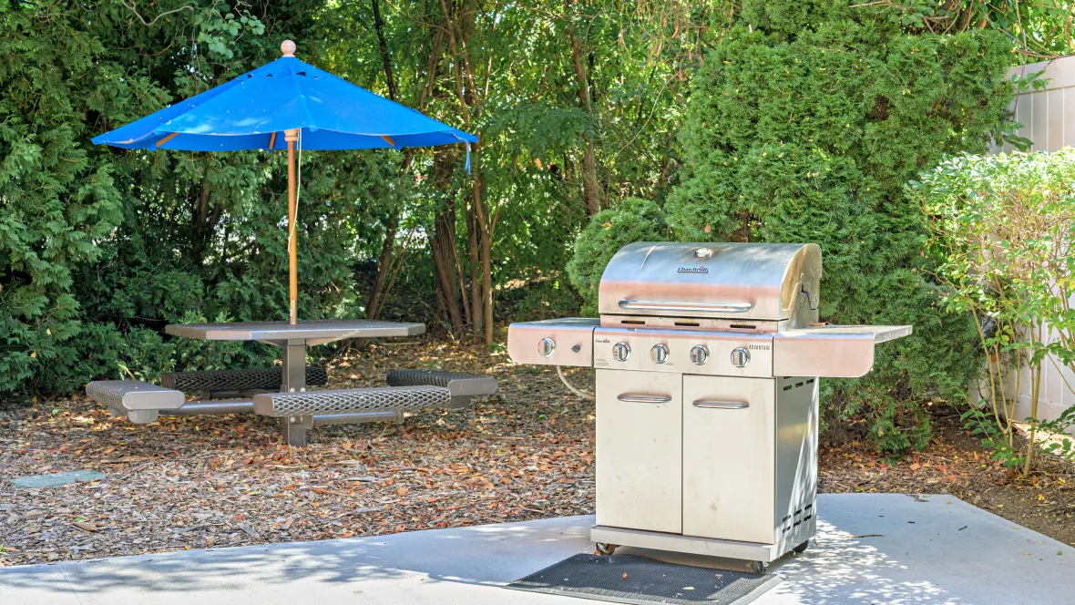 Our picnic area featuring a gas grill and a picnic table with a blue umbrella.