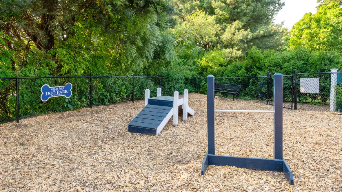 An enclosed dog park with agility equipment, offering a playful environment for dogs to run, jump, and explore.