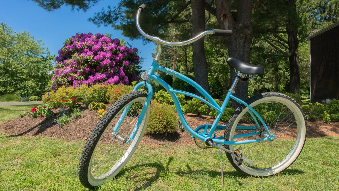 A vibrant blue bike set against a backdrop of beautiful flowers and greenery.