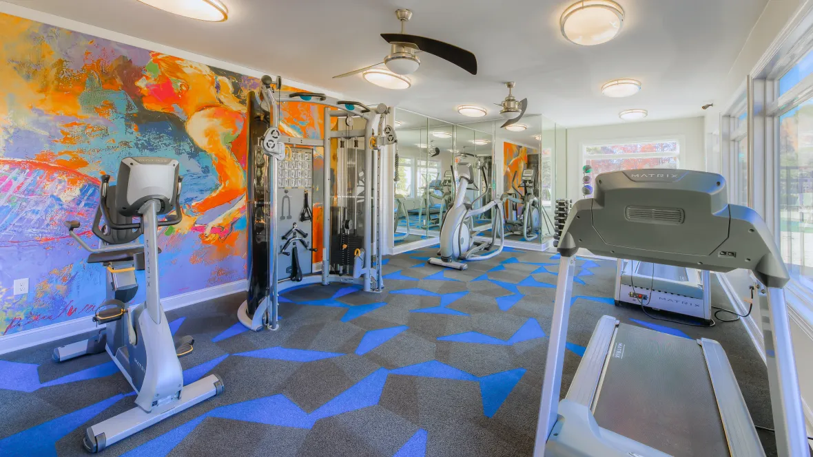 A fitness zone equipped with a wide array of cardio and weight training gear, illuminated and breezy, for your fitness versatility and comfort.
